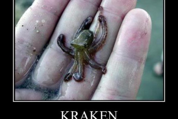 Kraken tor зеркало