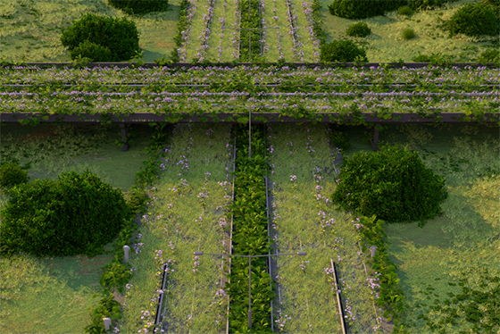 Кракен сайт ссылка